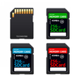 memory sd card for various devices vector image vector image