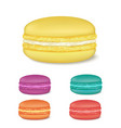 colourful french macaroons vector image