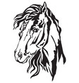 decorative portrait of horse 1 vector image