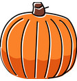 whole pumpkin color icon vector image vector image