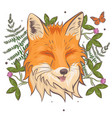 head a fox surrounded clover and fern vector image