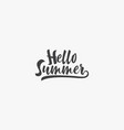 hello summer text design on white background vector image vector image