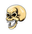 grunge head skull with big laugh vector image