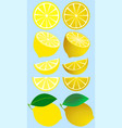 isolated fruits lemon set on blue background vector image vector image