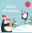 christmas penguin vector image