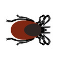 ixodes ricinus - castor bean tick - dorsal view vector image vector image