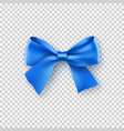 fashionable blue bow with ribbon vector image vector image