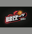 modern professional typography basketball sport vector image