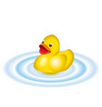 a toy rubber duck vector image