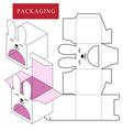 packaging design boxpackage vector image