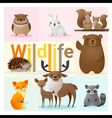 set of wild animals 2 vector image
