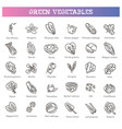 vegetarian healthy food leaf set vector image vector image