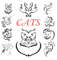 abstract cats set vector image