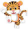 cute tiger cartoon vector image
