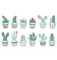 set isolated cactus in pots scandinavian vector image