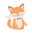 cute animal male fox with bow tie cartoon vector image