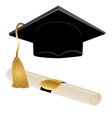 graduation kit vector image