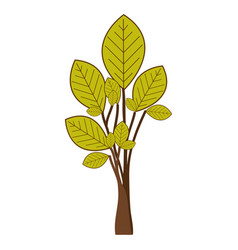 Ramifications with green leaves plant icon Vector Image