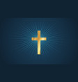 cross in glow vector image