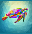 colorful turtle floating underwater vector image vector image
