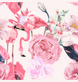 garden pink flowers tropical protea jungle plant vector image