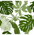 seamless pattern green tropical leaves vector image