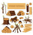 set of firewood materials for lumber industry vector image