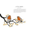 two birds sitting on a flowering branch vector image