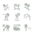 floristic icons vector image
