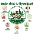 benefits of cbd for physical health diagram vector image