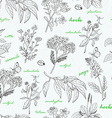 seamless pattern with herbs on a white background vector image