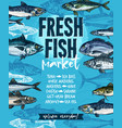 fresh fish banner for seafood market template vector image