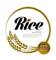 premium rice great quality design concept vector image
