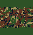 tropic forest camouflage graphic background vector image