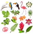 tropical birds and plants pictograms set vector image