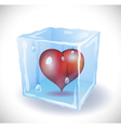 ice cube with heart vector image
