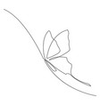 continuous lines butterfly vector image vector image