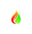 flame with leaf logo design template vector image vector image