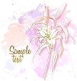 floral background vector image