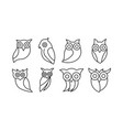 predator owlet vector image vector image