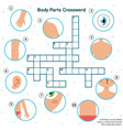 body parts crossword with hand eye shoulder vector image