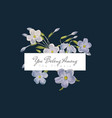 phlox flowers banner vector image vector image