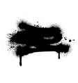 black graffity spray vector image