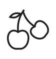 cherry vector image