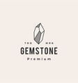 gem stone hipster vintage logo icon vector image