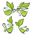 green tea vector image vector image