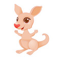little kangaroo vector image