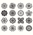 collection of flowers vector image