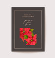 realistic poinsettia 3d flowers winter card merry vector image vector image