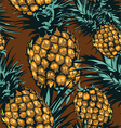 pineapple vector image